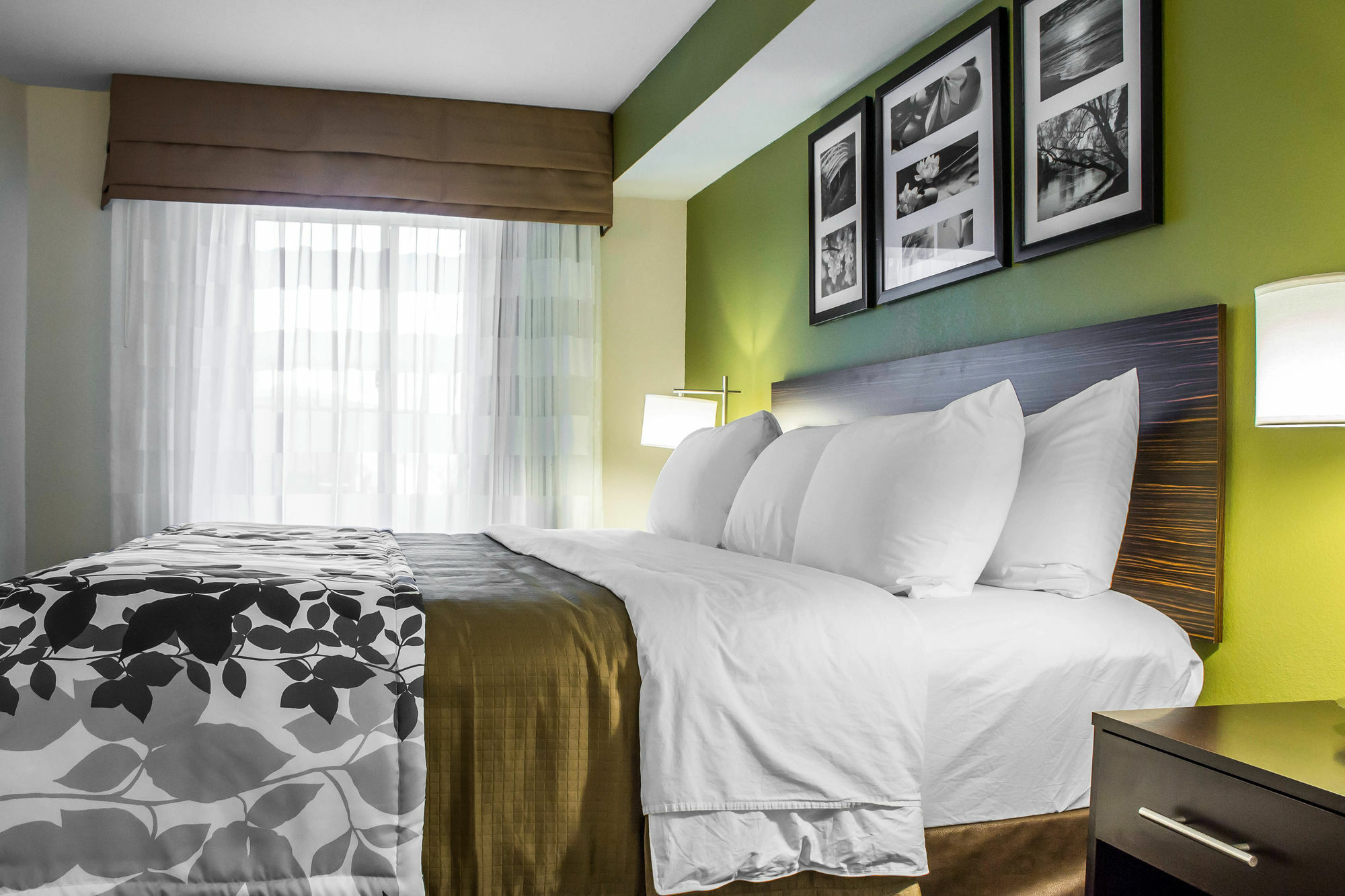 Surestay Plus By Best Western Mesa Superstition Springs Dış mekan fotoğraf