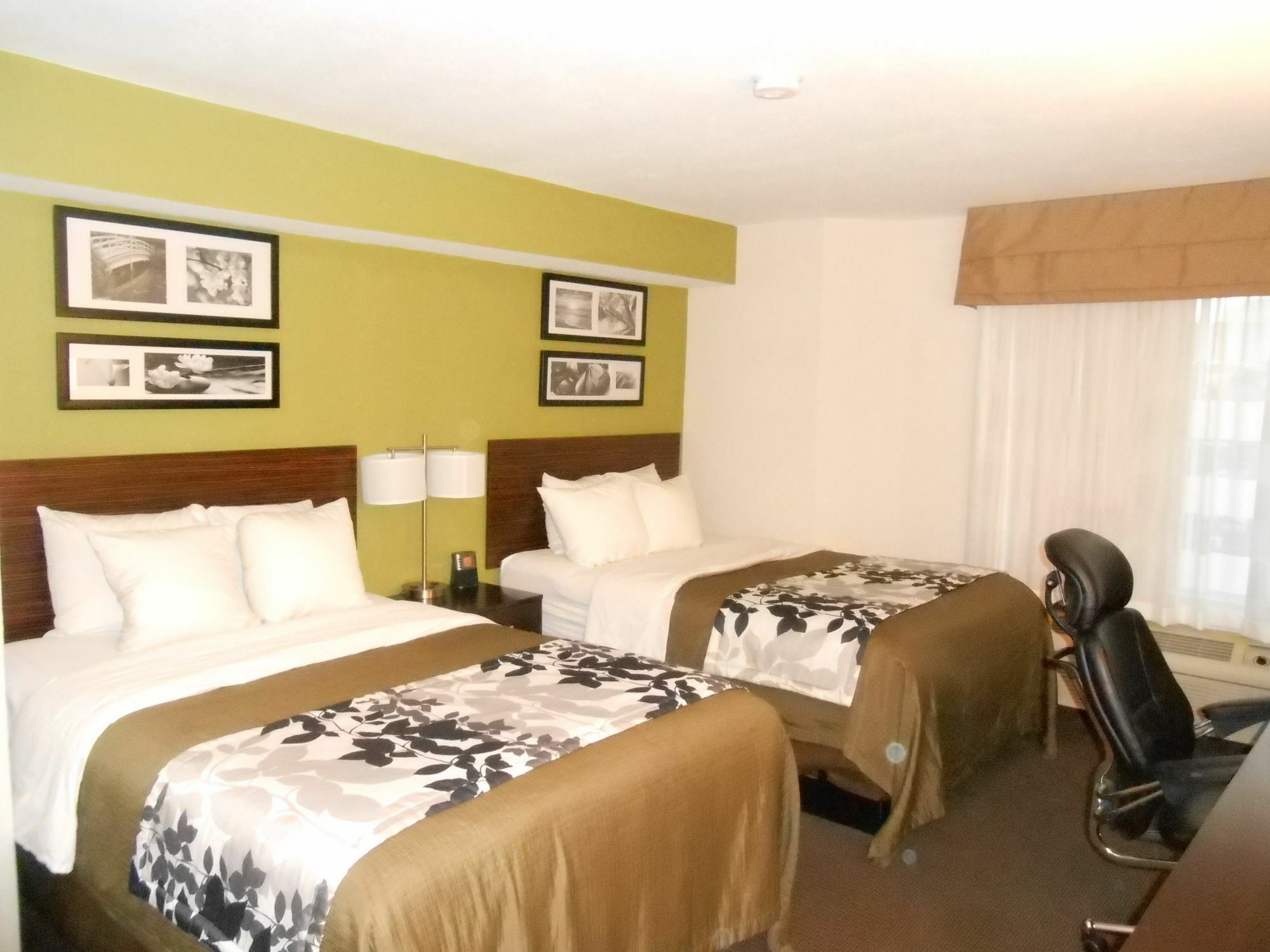 Surestay Plus By Best Western Mesa Superstition Springs Dış mekan fotoğraf