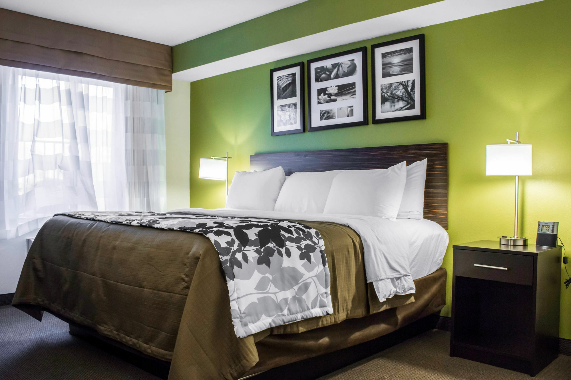 Surestay Plus By Best Western Mesa Superstition Springs Dış mekan fotoğraf