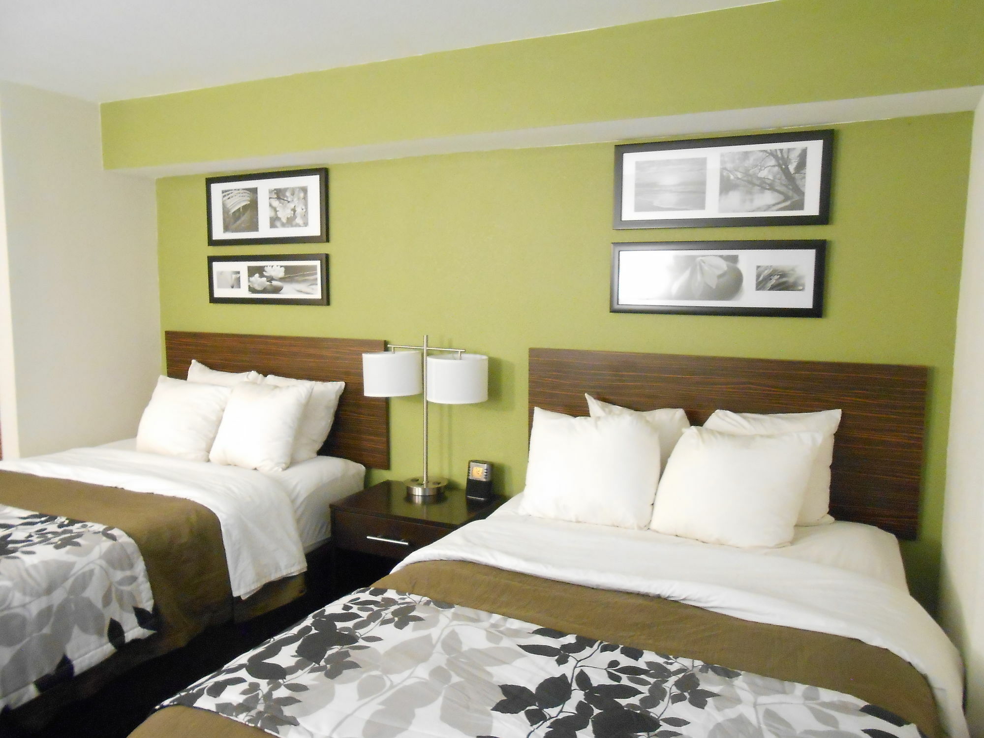 Surestay Plus By Best Western Mesa Superstition Springs Dış mekan fotoğraf